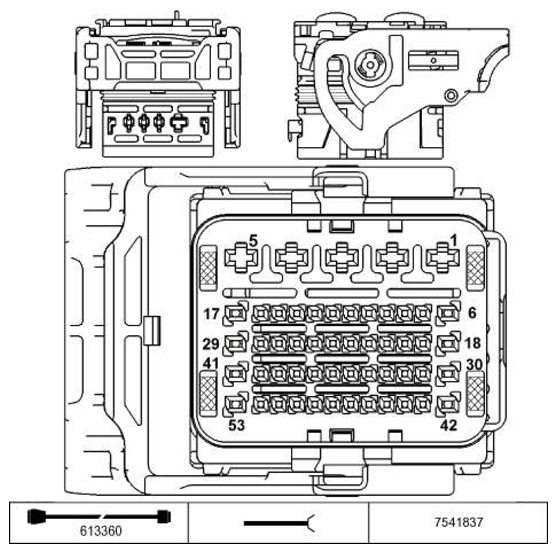 G11229786