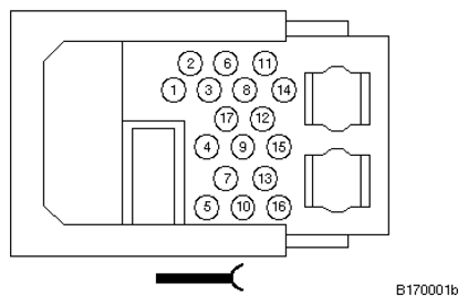 G11234866