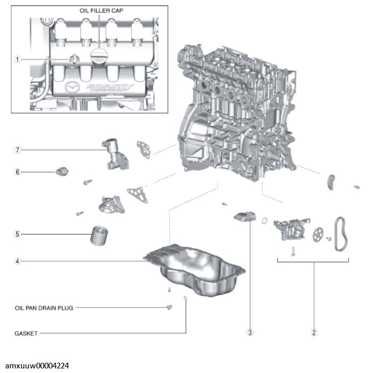 G11275681