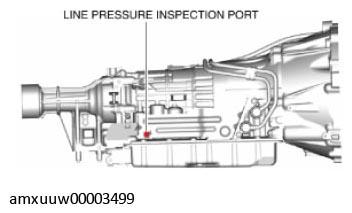 G11279184