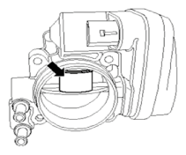 G11336636