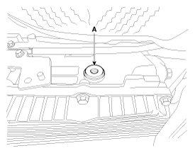 G11336851