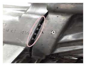 G11355253