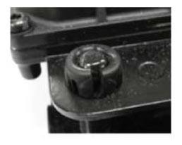 G11403950