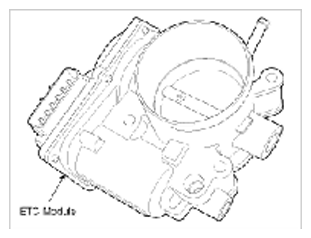 G11404335