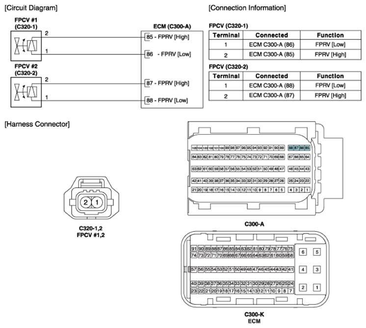 G11404424