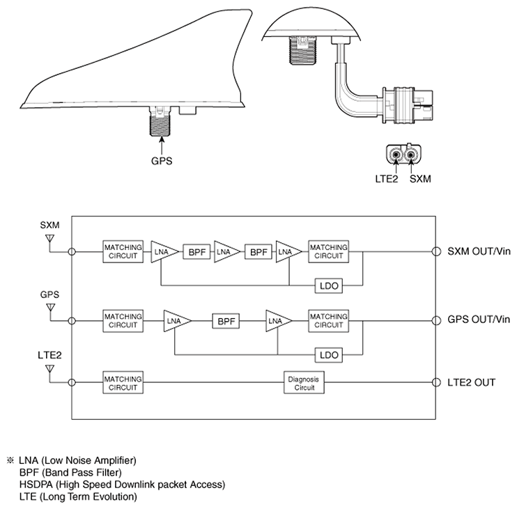G11406006