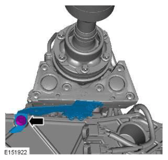 G11423824