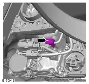 G11423828