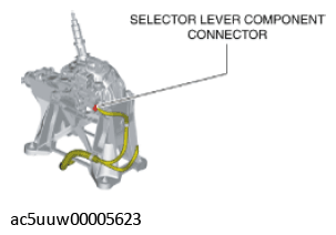 G11429134