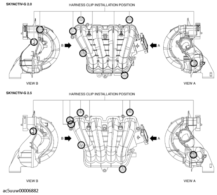 G11429618