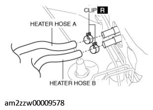 G11431276