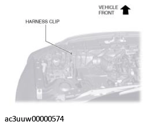 G11431300