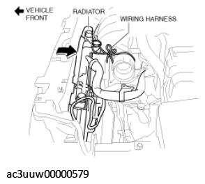 G11431305