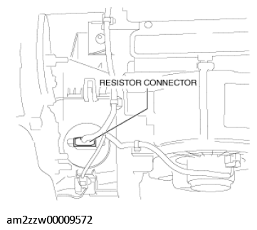 G11431341