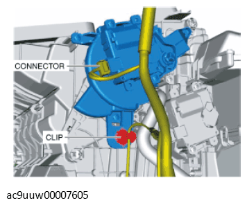 G11433482