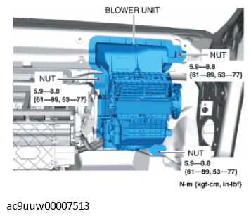 G11433488