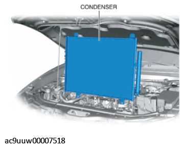 G11433490