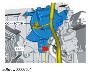 G11433661