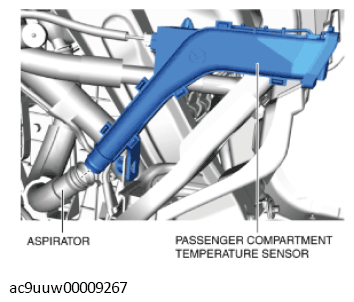 G11433682