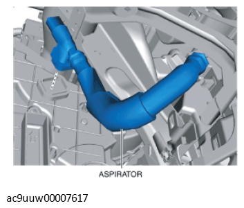 G11433685