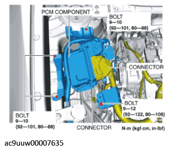 G11433697