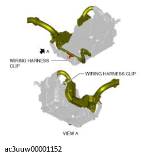 G11435544