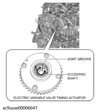 G11436591