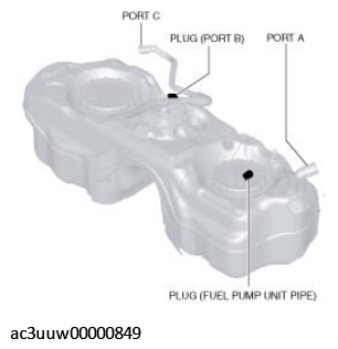 G11436956