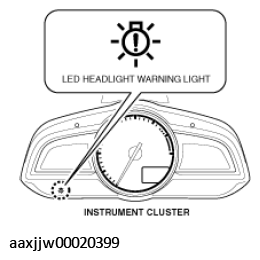 G11449539