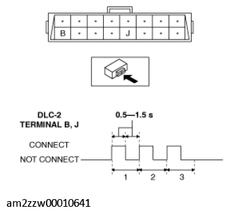 G11449719