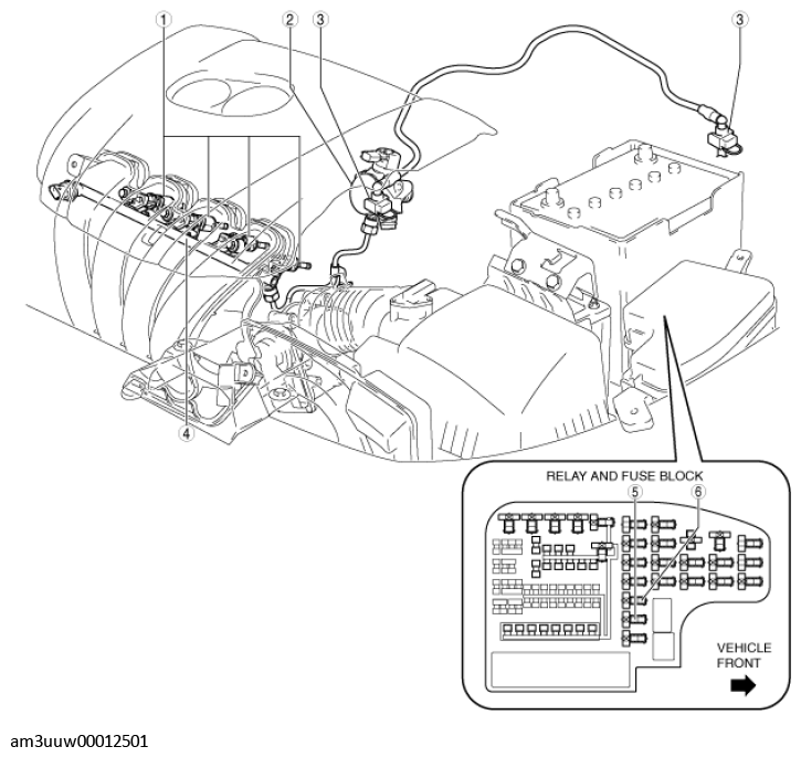 G11450852