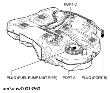 G11450861