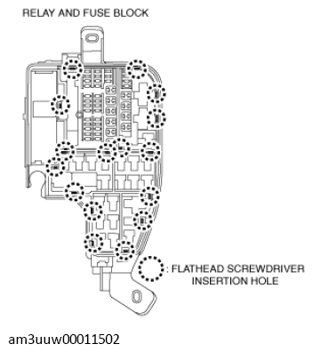 G11467436