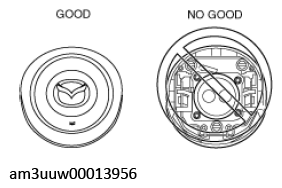 G11539213