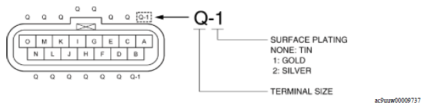 G11540380