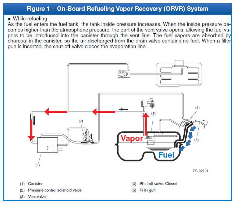 G11546358