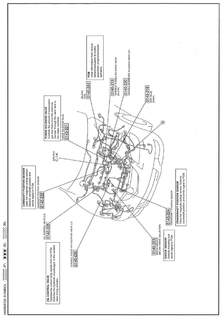 G11559186