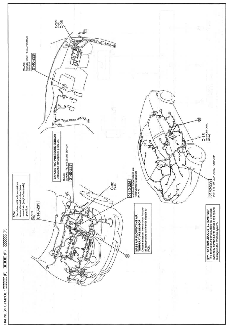 G11559188
