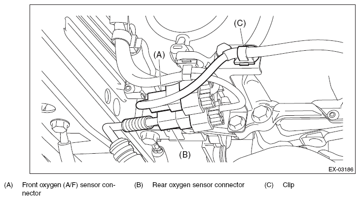 G11565997