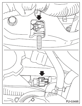 G11571481