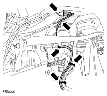 G11597369