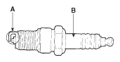 G11630752