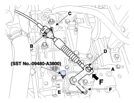 G11631388