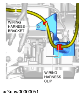 G11637776