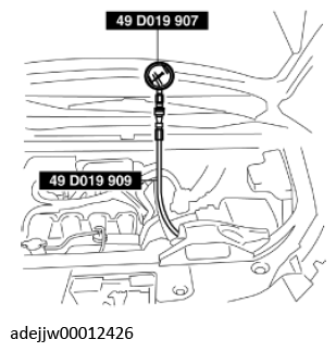 G11637780
