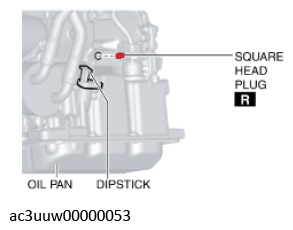 G11637781