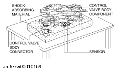 G11637794