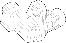 G11675683