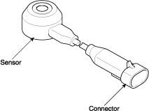 G11675689